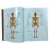 Атлас анатомии человека. Все органы человеческого тела. Большая коллекция 